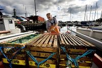 Gösta Andersson, 66 år och från Kungsbacka, har fiskat hummer i över 40 år. I morgon åker han ut till sin egen hemliga plats någonstans i havet för att dra upp fångsten.