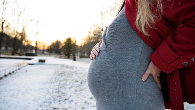 Kan en nepo baby vara resultatet av en vild graviditet?