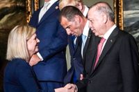 Magdalena Andersson skakar hand med Turkiets utrikesminister Mevlut Cavusoglu under Natotoppmötet i Madrid i juni.