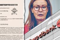 Aldrig tidigare har en före detta verkställande direktör på någon av de fyra svenska storbankerna åtalats. I och med åtalet mot Birgitte Bonnesen har det nu hänt.