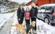 Karolina Lasses och Erika Garmelius på Hundstallet med juniorreportern Gösta, poserar med Erikas golden retriever-hundar som hon fått via Hundstallet. ”Deras ägare gick bort och då fanns det ingen annan som kunde ta hand om dem”, säger hon.