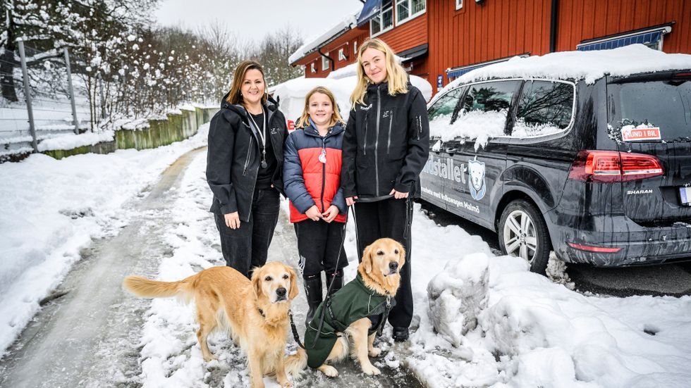 Karolina Lasses och Erika Garmelius på Hundstallet med juniorreportern Gösta, poserar med Erikas golden retriever-hundar som hon fått via Hundstallet. ”Deras ägare gick bort och då fanns det ingen annan som kunde ta hand om dem”, säger hon.