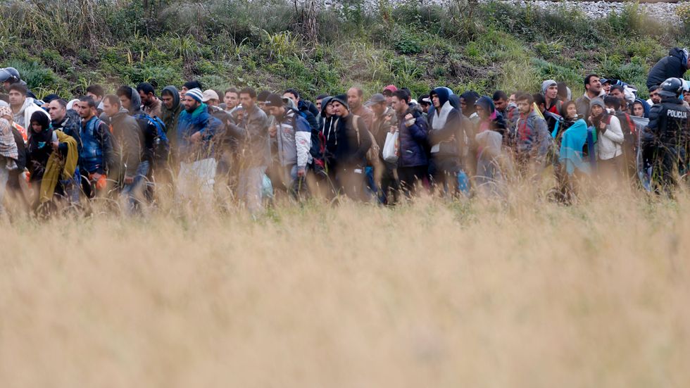 Migranter till fots efter att ha passerat gränsen mellan Kroatien och Slovenien, på väg till Österrike.