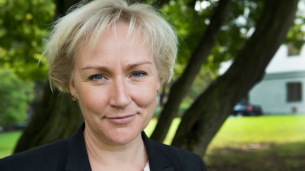 Högre utbildning- och forskningsminister Helene Hellmark Knutsson (S), 45 år, inkomst 2013: 1.415.000 kronor.