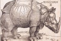 Med sitt träsnitt spred Dürer 1515 nyheten om att en noshörning hade kommit till Europa.