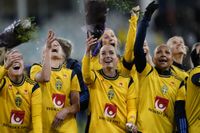 Sverige firar VM-biljetten som säkrades på tisdagen.