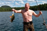 Putin har all anledning att vara nöjd med SVT:s beslut.