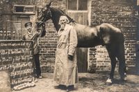 ”Den läsande och räknande hästen med sin lärare herr von Osten.” Vykort från 1904.
