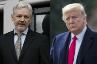 Erbjöd Donald Trump benådning i utbyte mot en politisk tjänst från Assange? Det hävdar Wikileaksgrundarens advokater. Montage.