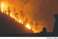 Människor i Pampilhosa da Serra-bergen i Portugal kunde på lördagen se hur en skogsbrand lyste upp natthimmeln. 
En vanligt syn de senaste veckorna, men igår uppgav man att de flesta skogsbränderna i landet var under kontroll