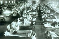 Omkring 50 miljoner människor dog i sviterna av den så kallade spanska sjukan 1918–20. 