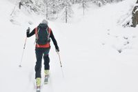 Snö i södra Sverige – då bokar vi allt fler skidresor.