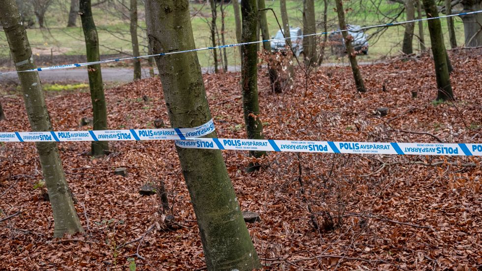 En kvinna i 30-årsåldern hittades förra hösten mördad och nedgrävd i en grop i skogen i Svedala kommun. Arkivbild.
