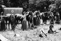 Frivilliga brittiska sjuksköterskor i Frankrike ser till sina hästar. Bilden är förmodligen från omkring 1914–1915.