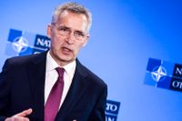 Får Natos generalsekreterare se en svensk ansökan redan i sommar?