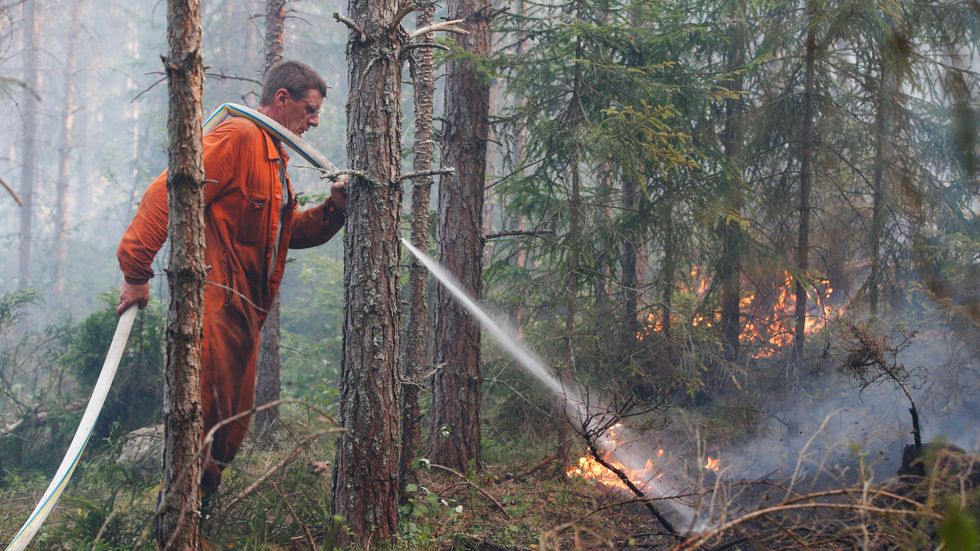 Släckningsarbete av under den stora skogsbranden i Västmanland 2014.