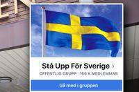 Eskilstuna tingsrätt anser att sex av Facebook-kommentarerna var uppenbara exempel på hets mot folkgrupp.