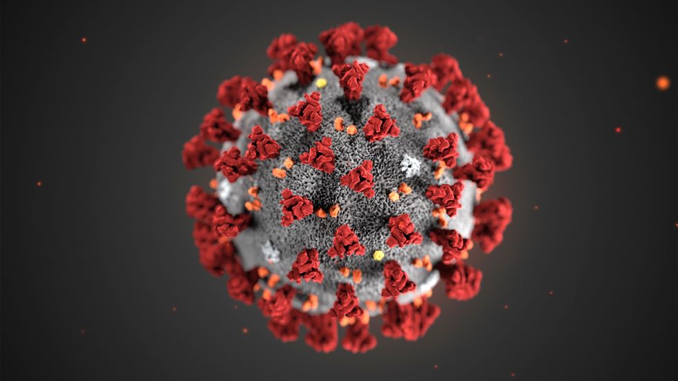 Folkhälsomyndigheten genomför en ny nationell undersökning för att mäta förekomsten av bland annat antikroppar mot coronaviruset. Arkivbild.