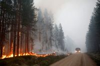 Det pågår en skogsbrand vid Kårböle strax utanför Ljusdal, men ett skyfall har minimerat spridningsrisken. Arkivbild.