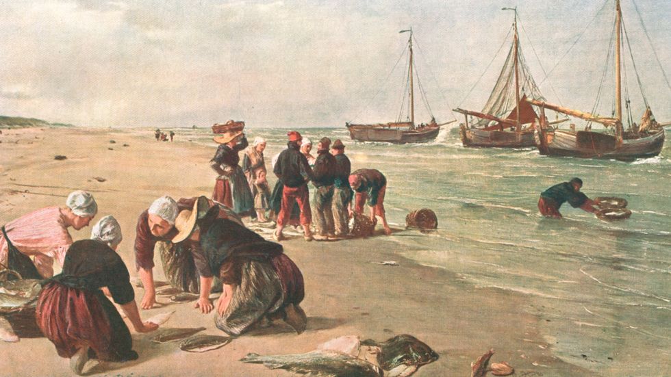 ”Fisk från Doggers bankar” av okänd konstnär, cirka 1870.