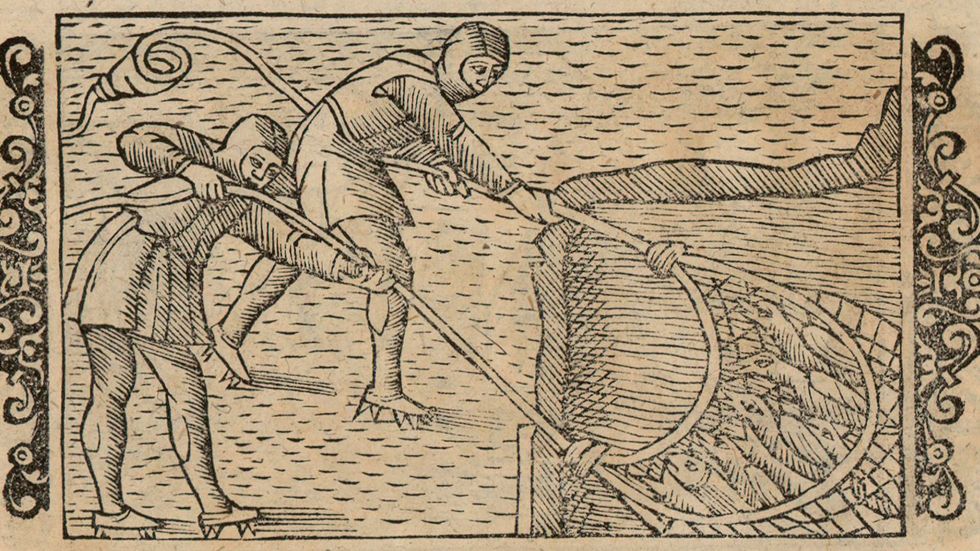 Fiskare drar upp svalor från sjöbotten med nät. Illustration ur Olaus Magnus ”Historia om de nordiska folken”.