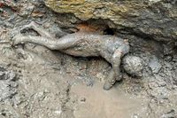 24 bronsstatyer hittades i lämningarna efter ett etruskiskt bad i San Casciano dei Bagni i Italien.