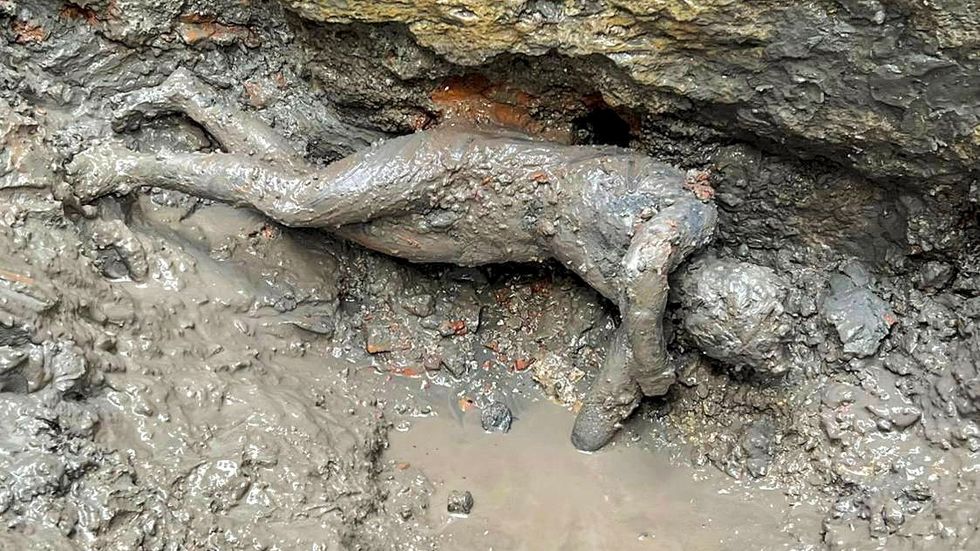 24 bronsstatyer hittades i lämningarna efter ett etruskiskt bad i San Casciano dei Bagni i Italien.