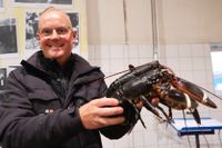 Pontus Johansson köpte årets första hummer, som auktionerades ut av Göteborgs fiskauktion. 34 000 kronor kilot fick han betala.