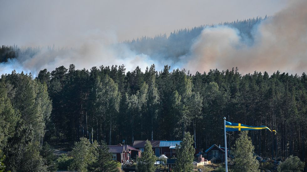 Skogsbrand i Enskogen utanför Ljusdal på tisdagen.