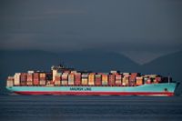 Rederier som Maersk, Hapag-Lloyd och Cosco är vinnare i den utdragna containerbristen. Arkivbild