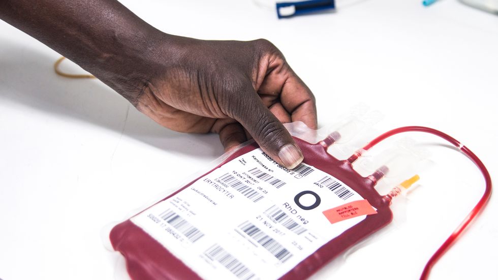 En av de frågor som hamnat i fokus är Jehovas vittnens ovilja att ta emot blodtransfusion. Regeringen har hänvisat till att motståndet riskerar minderåriga barns liv och hälsa. Arkivbild.
