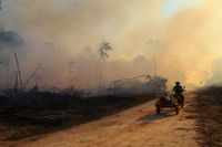 Ett eldhärjat område i Lábrea i brasilianska Amazonas i augusti i år. Bränderna startas av människor som vill röja mark.
