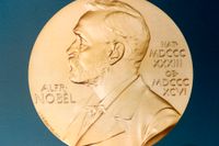 Nobelpriset tilldelas de mest meriterade. 