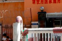 Övervakningskamerorna var bara toppen på ett isberg i den hårt övervakade Xinjiang-provinsen i västra Kina.