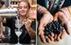 Terroir – nya trenden när ginen gör comeback