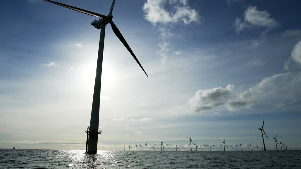 Danska Vestas är världens största tillverkare av vindkraftverk, skriver Mattias Goldmann. 
