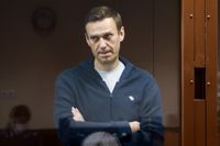 Redan innan den fängslade ryske regimkritikern Aleksej Navalnyj började hungerstrejka i protest mot fängelseförhållandena hade han tappat åtta kilo i vikt. Arkivbild.