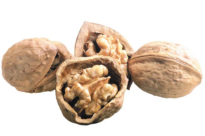 Valnötter innehåller Omega 3 fettsyror som sägs göra det lättare för nervsignalerna att komma fram.