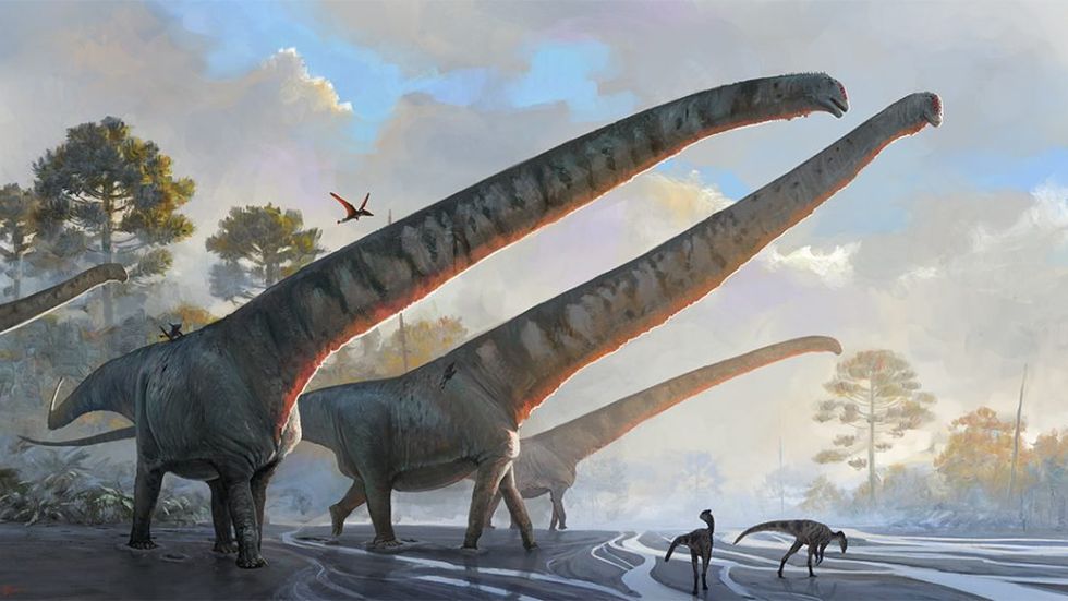 Så här föreställs Mamenchisaurus sinocanadorum ha sett ut. Pressbild.
