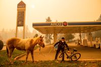 Brandmannen Randy Law tar hand om en häst som räddats från branden i Paradise, Kalifornien den 9 november. 