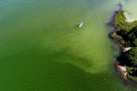 Så länge näringshalterna är höga i Östersjön – och det är varmt – så kommer algblomnigen att vara stor i Östersjön, enligt experter. Därför har så många observationer av algerna gjorts i sommarvärmen. Arkivbild.