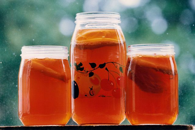 Kombucha är ett fermenterat te som jäser med hjälp av en jästsvamp och blir en friskt syrlig kolsyrad dryck.