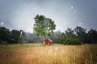 Det blir klassiskt svenskt sommarväder de kommande dagarna, med plats för sol, regn och moln.