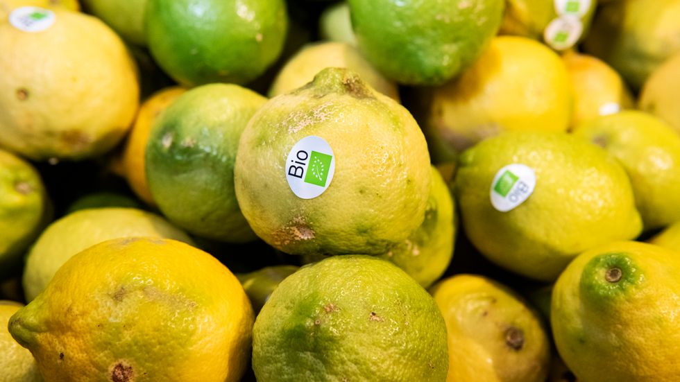 Ekologiskt odlade citrusfrukter.