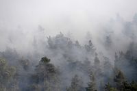 Den extrema torkan har lett till många skogsbränder på flera håll i Sverige. På fredagen började ett område omkring 34 fotbollsplaner i Nacka öster om Stockholm, att brinna. Arkivbild.