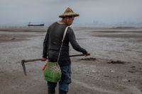 Chen Jing-Chi gräver efter sandmask på Kinmen. Bakom honom syns den kinesiska storstaden Xiamen.