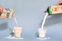 Havredryck från Oatly och mellanmjölk från Arla har testats i undersökningen. Arkivbild.