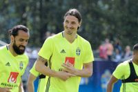 Erkan Zengin och Zlatan Ibrahimović på landslagsträning i Båstad inför EM. EM kan innebära en kassasuccé för Svenska Fotbollsförbundet och landslagstjärnorna – men då måste bollen in i mål.