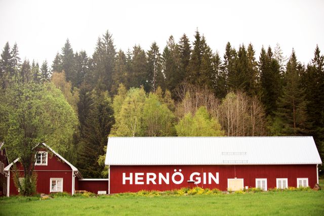 Tradition möter nyskapande i Hernö Gins produktionsanläggning i byn Dala utanför Härnösand.