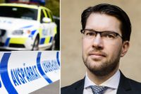 ”Vi föreslår att Polismyndigheten inte ska behöva tillståndsplikt för att sätta upp bevakningskameror samt att kroppskameror ska bli en del av standardutrustningen för patrullerande polis”, skriver SD:s Jimmie Åkesson med flera.